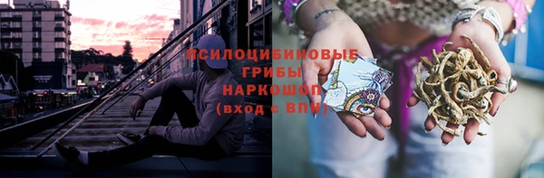 PSILOCYBIN Красноперекопск