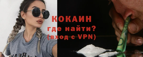 индика Краснослободск