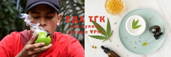 индика Краснослободск