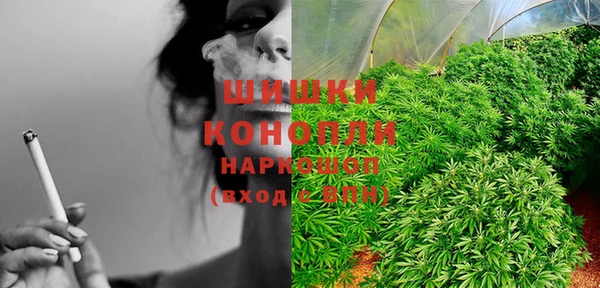 spice Кулебаки