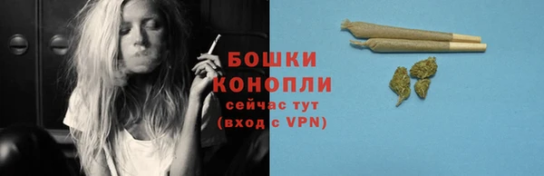 PSILOCYBIN Красноперекопск