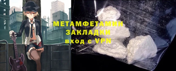 индика Краснослободск