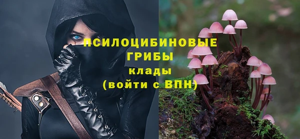Альфа ПВП Куйбышев