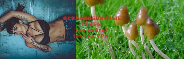 a pvp Кукмор