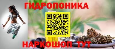 стафф Гусев