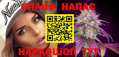 стафф Гусев